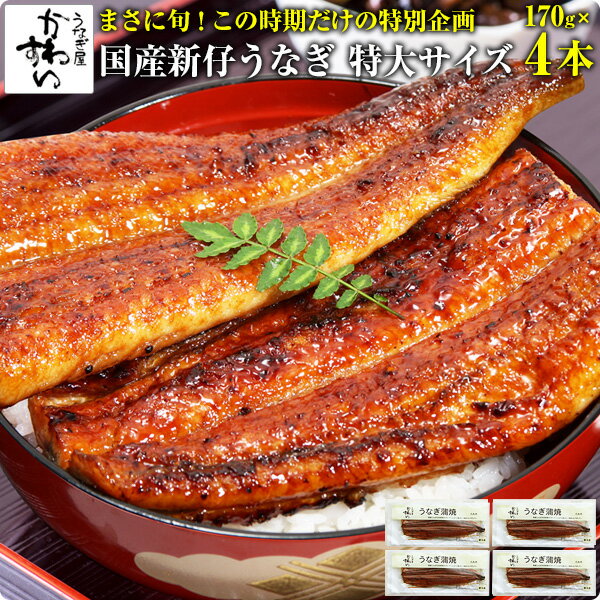 [受付は10月31日14時まで]国産特大新仔うなぎ蒲焼き 170g×4本[ ウナギ 鰻 蒲焼き 蒲焼 国産 国内産 秋の土用丑 土用の丑の日 秋の味覚 秋グルメ 冷凍食品 ]のサムネイル