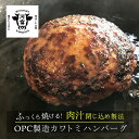 OPC製造 肉汁たっぷりカワトミハンバーグ 180g×10枚（5枚×2パック）送料無料 肉汁飛び出し注意 ジューシー ふっくら 簡単 かんたん 上手に焼ける お手軽 おかず 冷凍食品 冷凍惣菜 冷凍ストック ハンバーグ 時短おかず 業務用ハンバーグ 店舗 冷凍ハンバーグ