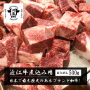 近江牛ネック角切り肉 煮込み用 500g/ お試しサイズ 牛シチュー用 カレー用 本格ビーフシチュー ご馳走 洋食屋さん プロ 食材 煮込み料理 レストラン 大きめカット 訳あり 不揃い 牛肉ブロック 冷凍ブロック 500グラム 黒毛和牛 銘柄牛 ブランド牛 圧力鍋 牛すね肉の代用に
