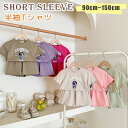 キッズ セットアップ セットアップ キッズ 半袖 ベビー服 女の子 男の子 tシャツ ショートパンツ 子供服 ジャージ 上下セット 綿 夏 トップス ボトムス 半ズボン ジュニア おしゃれ 可愛い 入学 入園 誕生日 プレゼント 幼稚園 小学生 お出かけ 150 140 130 120 110 100 90
