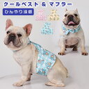 クールベスト 犬用 2点セット クールバンド クールウェア クールネック 保冷剤付き ペット 調節可 熱中症対策 ひんやり 冷却スカーフ クールバンダナ 体冷や...