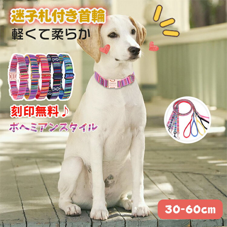 楽天市場】犬 首輪 イエローの通販 楽天市場】犬 首輪 イエローの通販