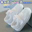 キッズシューズ 男の子 女の子 スニーカー シューズ 靴 キッズ 15.5 子供靴 無地 軽量 メッシュ ジュニアシューズ 透かし彫り 通気性抜群 蒸れない 滑りにくい 軽い ベビー靴 小学生 保育園 ホワイト 通園 誕生日 ギフト カジュアル 17 18 19 14 15 16 運動靴 おしゃれ 白