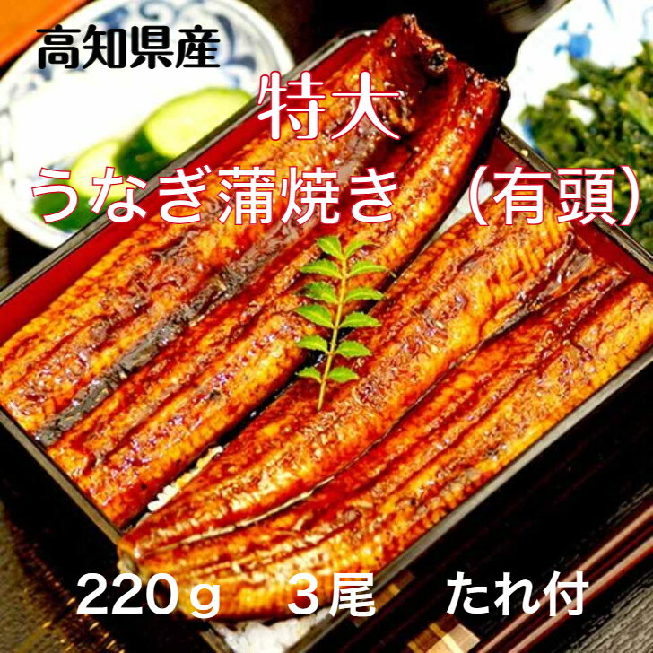 高知県産 特大うなぎ蒲焼き 220g×3尾うなぎ蒲焼き 蒲焼...