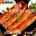 高知県産 特大うなぎ蒲焼き 220g×3尾うなぎ蒲焼き 蒲焼き うなぎ ギフト お中元 お歳暮 ウナギ 鰻 特産品 贈答品