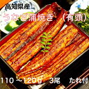 高知県産 特大うなぎ蒲焼き 100g～120g×3尾 うなぎ蒲焼...