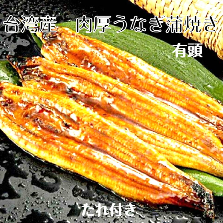 台湾産産 肉厚うなぎ蒲焼き うなぎ蒲焼き 蒲焼き うなぎ ギフト お中元 お歳暮 ウナギ 鰻 特産品 贈答品