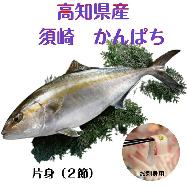 高知県 須崎かんぱち 刺身用 【6から7人前】 片身 勘八 カンパチ 刺身 魚 カルパッチョ ブランド 特産品 ギフト お中元 お歳暮 贈答品