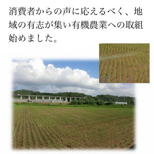 【送料無料】無農薬玄米麹(乾燥)750g長崎県大村市産クリックポスト代引き不可配達日時指定不可