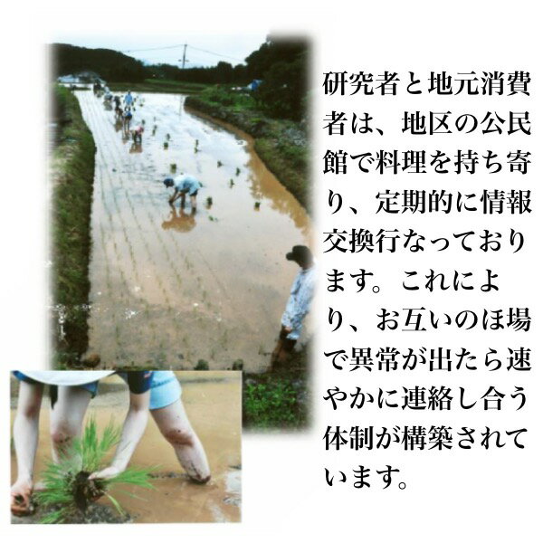 【送料無料】無農薬玄米麹(乾燥)750g長崎県大村市産クリックポスト代引き不可配達日時指定不可