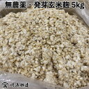 無農薬 玄米麹 乾燥 5kg業務用大袋入り ( 生麹換算6.66kg以上 ) 九州産玄米使用 通常6営業日以内に発送