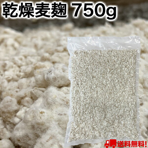 乾燥 麦麹 750g( 生麹 換算約1kg分 ) 長崎・佐賀県産の 七分搗き 大麦 使用 麹菌 味噌 作り 麹 発酵器 で 簡単 もろみ 醤油麹 こうじ 酵素 糀 麦味噌 合わせ味噌 などに