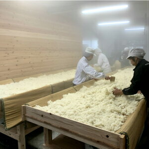 無農薬玄米麹(乾燥)750g長崎県大村市産【送料無料】検索用(甘酒味噌こうじ水有機玄米麹塩麹)クリックポスト代引き不可配達日時指定不可