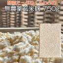 無農薬 玄米麹 750g 乾燥麹(生麹換算1kg以上) 九州産 麹菌 玄米 甘酒 塩麹 米こうじ 麹漬けの素 糀 酵素 こうじ 発酵器 で 簡単