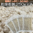 乾燥 麦麹 250g 4個 合計1kg 生麹 換算 約1333g分 長崎・佐賀県産の 七分搗き 大麦 使用 麹菌 味噌 作り 麹 発酵器 で 簡単 もろみ 醤油麹 こうじ 酵素 糀 麦味噌 合わせ味噌 などに