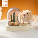 ハムスター 餌入れ 小動物用自動給餌 小鳥用食器 エサ入れ 食器 ハリネズミ お留守番対策 えさいれ モモンガ モルモット フードボウル 自動 餌やり 固定 小動物 自動給餌器透明 組立て簡単