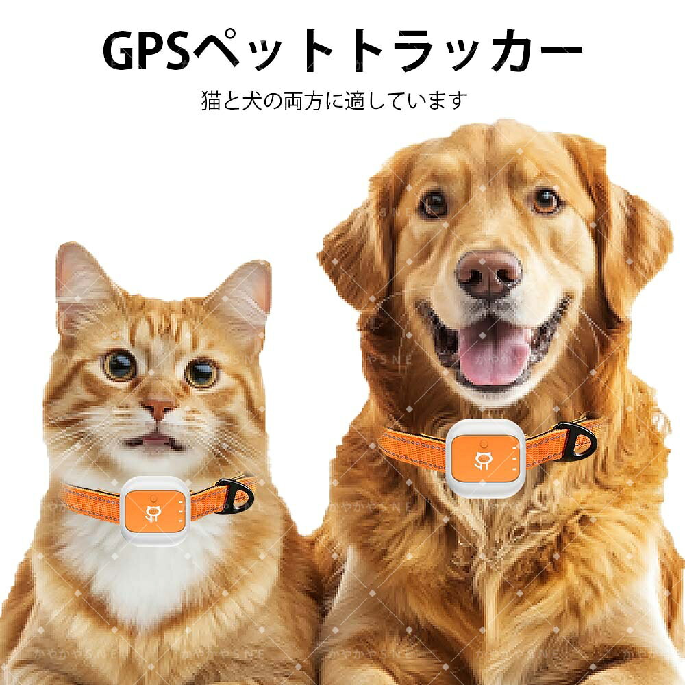 【ペット追跡・盗難対策】超軽量・超小型のペット専用GPS Apple&Android共通 遠距離 GPS発信機（月額不..