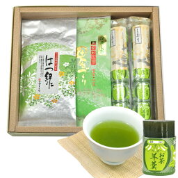 かやまえん 日本茶 誕生日 プレゼント 静岡 深蒸し茶 煎茶 緑茶 （はつ緑、田舎づくり）100gX2と お茶 羊羹2本 箱入ギフト セット お茶 米寿 喜寿 卒寿 白寿 還暦 仏事 お父さん お母さん おじいちゃん おばあちゃん 80代 祖父 祖母 妻 母 おかあさん 母の日 父の日 敬老の日