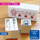 お買い得セット かょのこ パンダ 先生 スタンプ ゴム印 ドリル ご褒美スタンプ 国語 宿題 二度書き じったんぽん 3回書き直し