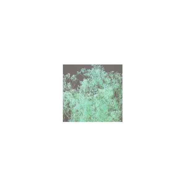 ミニカスミ草 ブルー 大地農園 プリザーブドフラワー ドライフラワー 花材 資材 材料 フラワーアレンジメント 小花