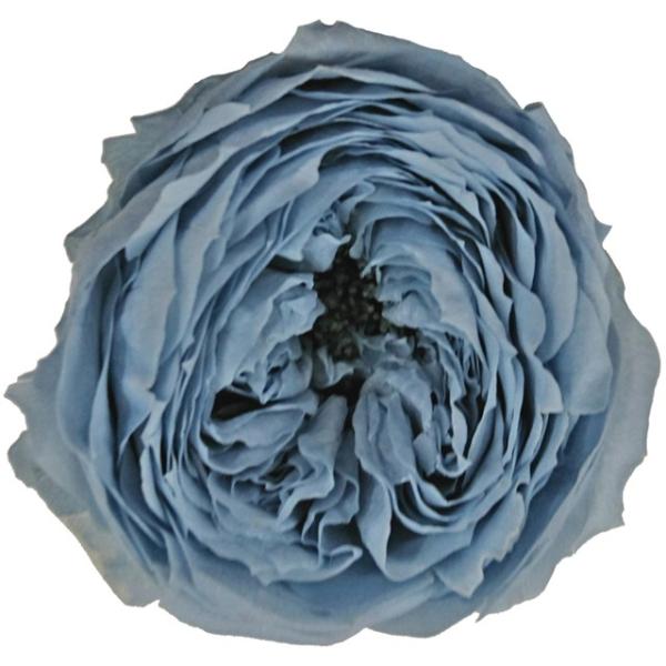 ローズ てまり ミストブルー（8輪入） プリザーブドフラワー ドライフラワー 花材 資材 材料 フラワーアレンジメント 小花