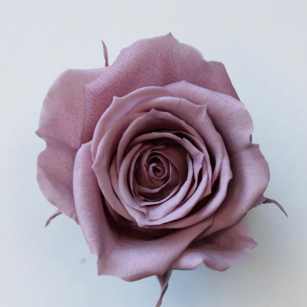 ローズ サラ グレイッシュパープル（9輪入り） プリザーブドフラワー ドライフラワー 花材 資材 材料 フラワーアレンジメント 小花