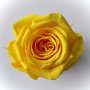 ローズ サラ ミモザイエロー（9輪入り） プリザーブドフラワー ドライフラワー 花材 資材 材料 フラワーアレンジメント 小花