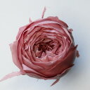 ラシットピンク ローズ ココット（9輪入り） プリザーブドフラワー ドライフラワー 花材 資材 材料 フラワーアレンジメント 小花