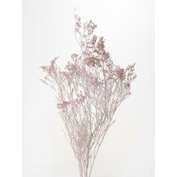 マットピンク カスピア プリザーブドフラワー ドライフラワー 花材 資材 材料 フラワーアレンジメント 小花