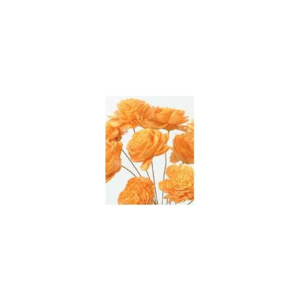 ソーラーローズ 小 ジュリアオレンジ 大地農園 プリザーブドフラワー ドライフラワー 花材 資材 材料 フラワーアレンジメント 小花