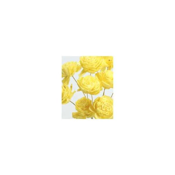 ソーラーローズ 小 エンジェルイエロー 大地農園 プリザーブドフラワー ドライフラワー 花材 資材 材料 フラワーアレンジメント 小花