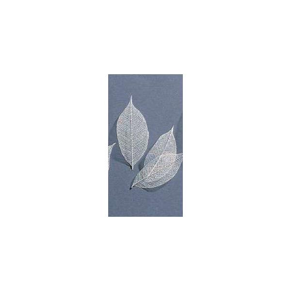 白 ミニスケルトンリーフ 小 大地農園 プリザーブドフラワー ドライフラワー 花材 資材 材料 フラワーアレンジメント 小花