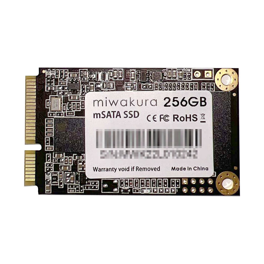 mSATA SSD 256GB 内蔵型 mini SATAI