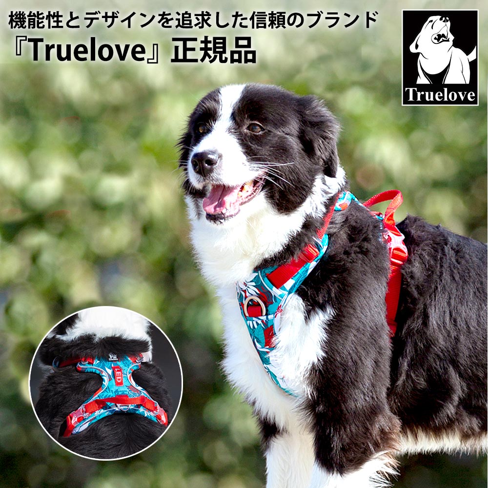 Truelove 犬 頭を通さない ハーネス 小型-中型犬 Mサイズ(7-18kg) 散歩 お出かけ おしゃれ 可愛い 軽量 抜けない 簡単装着 サイズ調整 胴囲56-69cm ブルー/レッド TLH5653-BR-M ◆宅