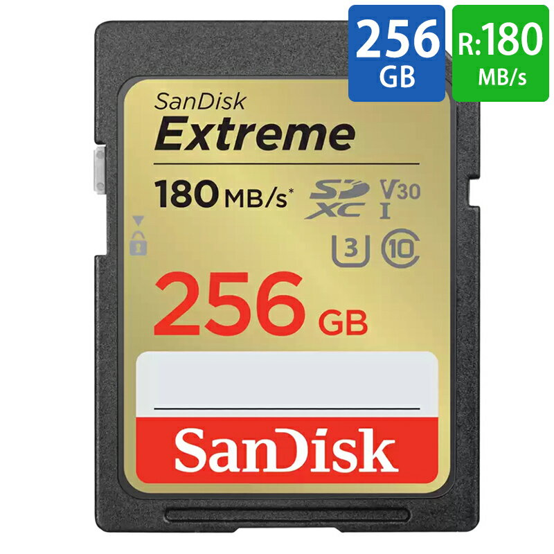 SDカード SD 256GB SDXC SanDisk サンディ