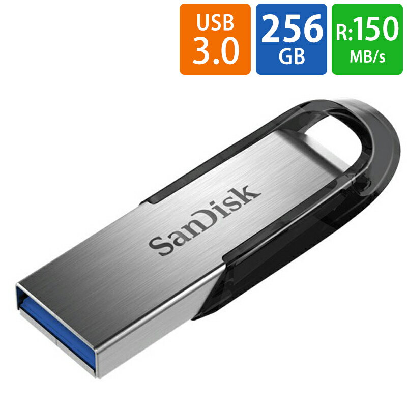 USBメモリ USB 256GB SanDisk サンディス