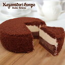 クリームチーズケーキ 送料無料 ダブルショコラチーズケーキ 4号 チョコレート ホールケーキ チーズケーキ 2層 オシャレ ふわふわ 冷凍 日持ち プレゼント ギフト 女性 男性 甘いもの お菓子 スイーツ 濃厚 誕生日ケーキ