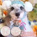 10袋までポスト投函(送料250円) 服やドッグカーに貼るシール 獣医師監修 犬 猫 ペット用 人用 ピタアロマ 防虫シール アロマシール 赤エゾマツ配合 抗菌・消臭・防虫・リラックス マスク消臭 ペットの防虫 ギフトに マスクにはるシール JAN:4560225774576 ヘルシーアニマルズ