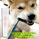 10個までポスト投函 ペット用 歯磨きジェル 犬 猫 赤エゾマツ配合 獣医師監修 アカエゾマツ 口腔ケア ケア用品 健康な歯茎 口臭予防 歯周病予防 ギフトに JAN:4560225775979 ヘルシーアニマルズ (HEALTHY ANIMALS)