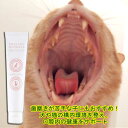 10個までポスト投函 獣医師監修 歯磨きジェル 犬 猫 ペット用 赤エゾマツ配合 アカエゾマツ 口腔ケア ケア用品 健康な歯茎 口臭予防 歯周病予防 ギフトに JAN:4560225775979 ヘルシーアニマルズ (HEALTHY ANIMALS)
