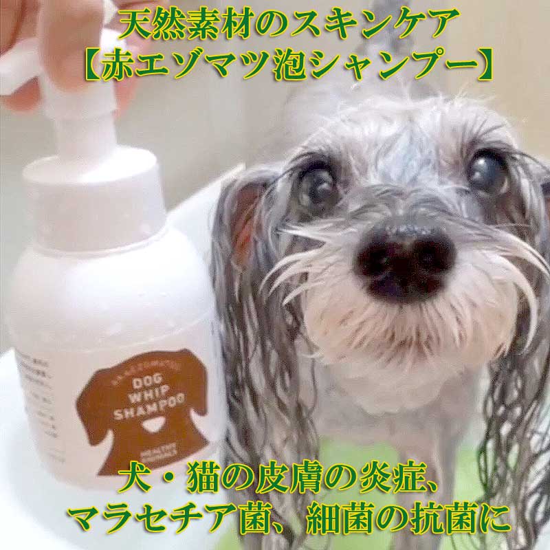 獣医師監修 犬用シャンプー マラセチア菌 アトピー性皮膚炎 ペット用 泡シャンプー 赤エゾマツ配合 臭い改善 肌ケア 毛ケア 皮膚ケア ギフトに JAN:4560225774699 ヘルシーアニマルズ HEALTHY …