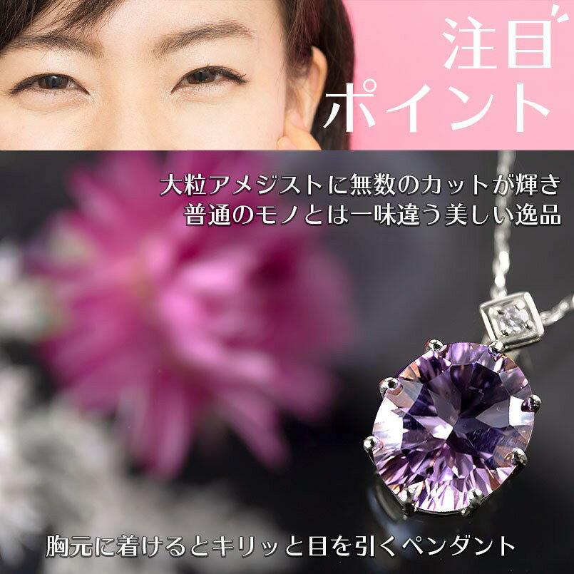 �ڥ����ȥȥå� �ץ���� ��ǥ����� ���᥸���� ��γ ��������� pt900 �ڥ����� ���� �͵� ���� �ץ쥼��� ��� �� £��ʪ ��ǰ�� ���ˤ� ���ե� ��� �������