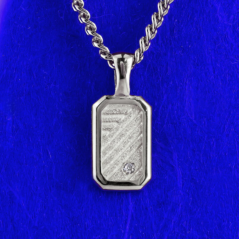 純プラチナペンダントトップメンズイ...