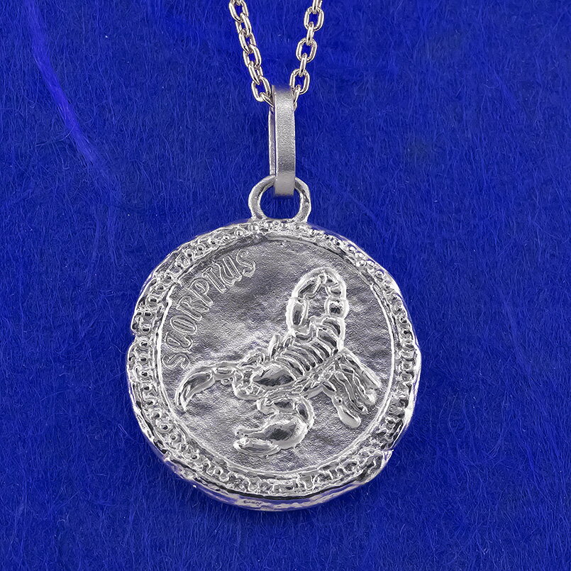ネックレス 純プラチナ pt999 星座 プレート レリーフ柄 メダル アンティーク プラチナ ペンダントトップ 選べるデザイン 全12種 シンプル おしゃれ ...