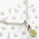 プラチナ チャーム ネックレス ペンダント チャーム ペンダントトップ ペリドット 一粒 Pt900 重ね付け 8月誕生石 人気 おしゃれ 大人 普段使い 【最...