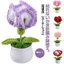 フラワーギフ ニット花 カーネーション 盆栽 ニット編み 造花 ブーケ 花 かぎ針編み 花束 カーネーションブーケ ニットフラワー
