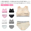 キッズ トレーニング ジュニア向け 女の子 運動 子供用下着 ショーツ カップ付き 中学生 子供 下着セット ジュニア向け 小学生