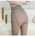 厚手 裏起毛 秋冬 ボトムス 下着 防寒 着圧タイツ スパッツ パンツ インナー トレンカ レギンス タイツ レディース 裏ボアタイツ