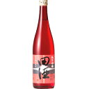 【2023年6月】田酒 純米吟醸 彗星 720ml