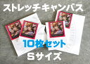 【10枚セット】ストレッチキャンバス 綿化織混紡 SSM 10枚セット SSMサイズ 格安 アクリル 油絵 ポーリングアート キャンバス 張りキャンバス